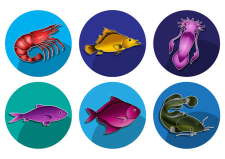 marine life iconのイラスト素材