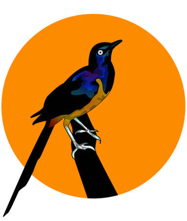 the cute birdのイラスト素材