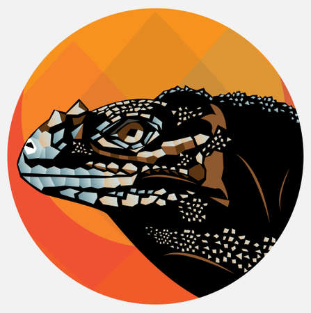 lizardのイラスト素材