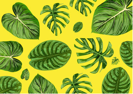 Beautiful green leaf backgroundのイラスト素材