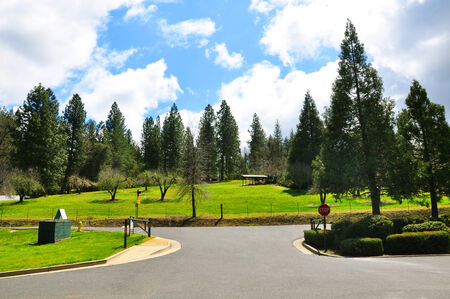 Yosemite Landscapeの写真素材