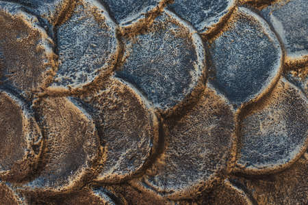 Background relief texture Scales