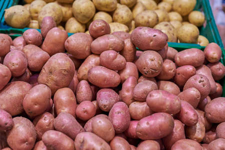 Red and white potatoes in the store For any purposeの写真素材