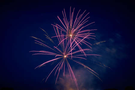 Beautiful sparkling salute of purple color in the night sky for any purpose