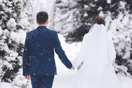 Newlyweds stroll in the winter, from the back.