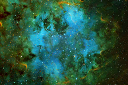 Green space on a dark background. Elements of this image were furnished by High quality photoの写真素材