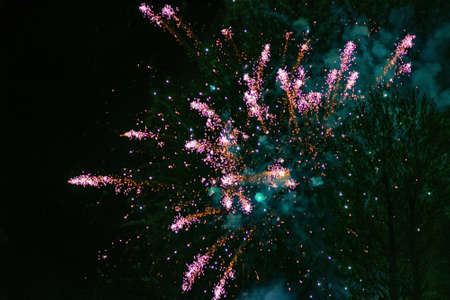 Beautiful festive fireworks of pink color, with a bluish haze. high quality photoの写真素材