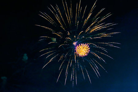 An explosion of bright single fireworks, against the background of the night sky. high quality photo