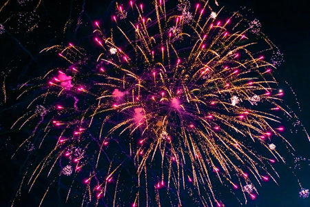 Beautiful multi-colored fireworks against the background of the night sky. high quality photo