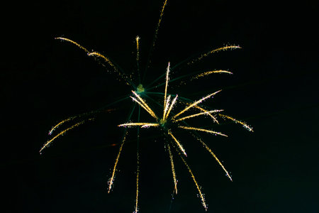 An explosion of bright single fireworks, against the background of the night sky.