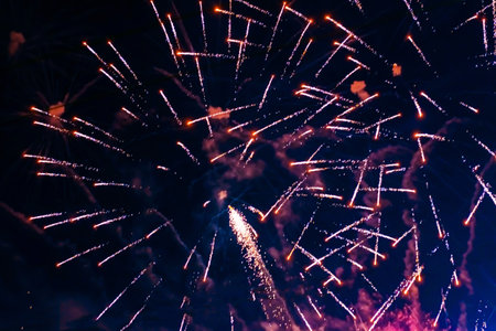 Bright, pink fireworks against the background of the night sky.
