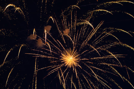 Bright, fiery fireworks against the background of the night sky.