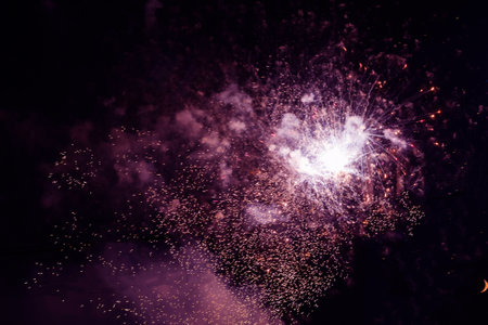 Bright, pink fireworks against the background of the night sky.