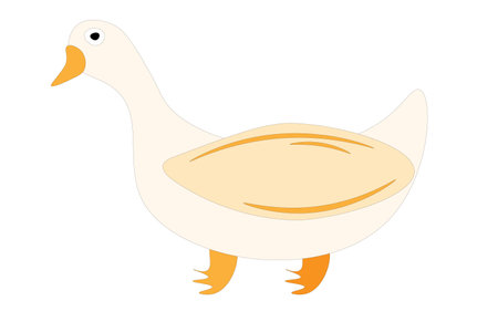 Duck on a white background, children's drawing. vector illustrationのイラスト素材