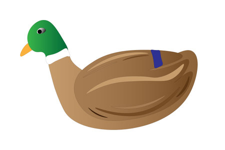 Duck on a white background, children's drawing. vector illustrationのイラスト素材