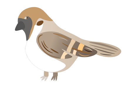 Gray sparrow, on a white background, children's drawing. vector illustrationのイラスト素材