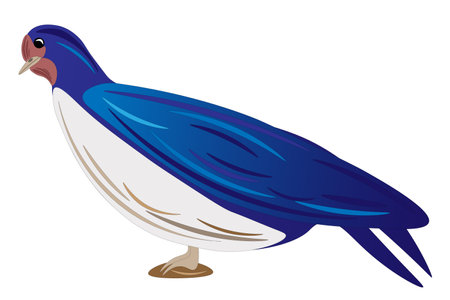 Blue bird with a white chest, on a white background, children's drawing. vector illustrationのイラスト素材