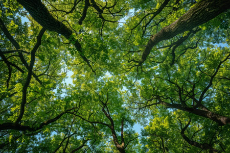View of the sky from below, through the trees. Generative AI. High quality photoの素材