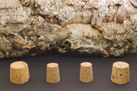 Different cork caps with Cork Oak tree bark on the background