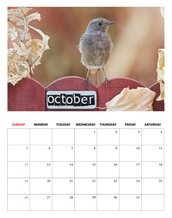 October 2014 calendar, with a bird perched on a October decorated fence の写真素材