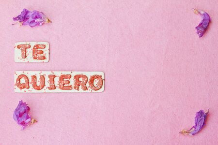 I love you words on spanish with rose petals on pink backgroundの写真素材