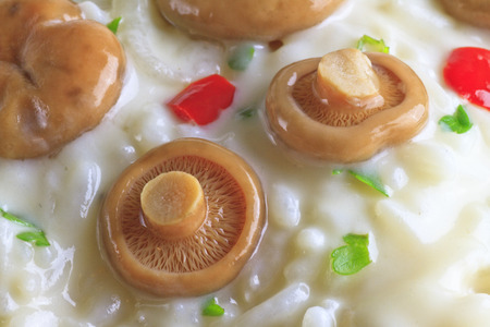 Close up of a Saffron Milk Cap mushroom rice with white wine sauce, peppers and parsleyの写真素材