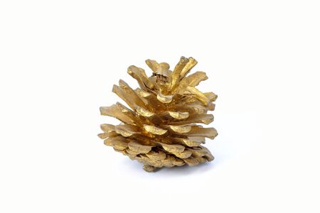 Gold fir cone on white background.