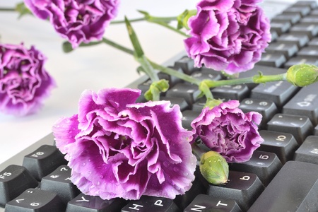 Flower on the keyboard with heart and arrow.の写真素材