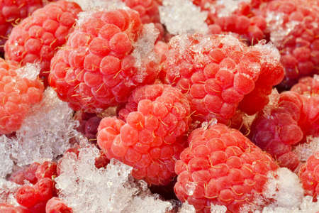 Frozen raspberries sprinkled with snow - food background.の写真素材