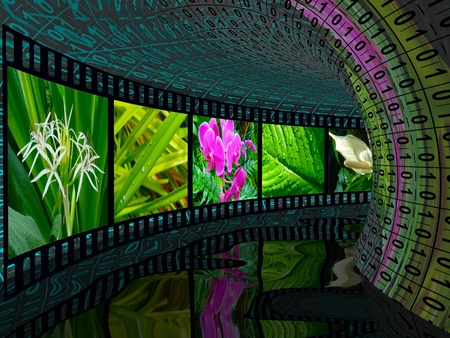 Film roll (nature) in the digital tunnel.の写真素材