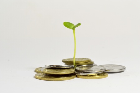 A small sprout and coins on white background.の写真素材