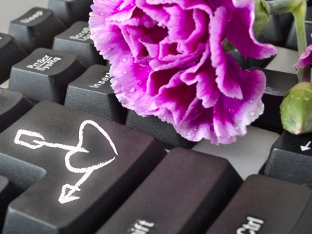 Flower on the keyboard with heart and arrow.の写真素材