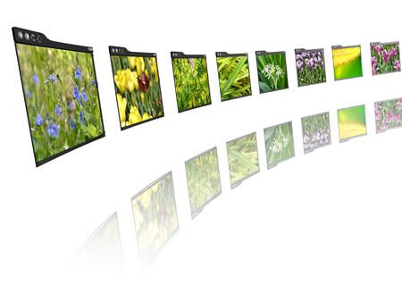 A row of pages on white reflective background.の写真素材