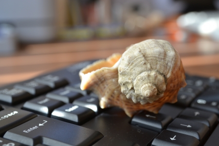 Keyboard with shell - abstract office background.