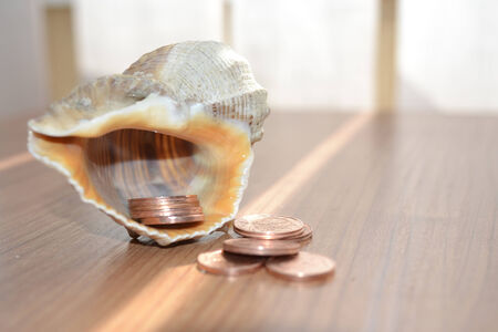 Money and shell - abstract office background.の写真素材