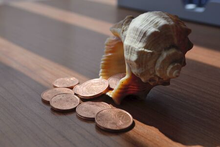 Money and shell - abstract office background.