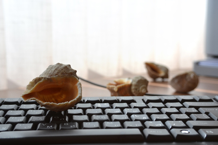 Keyboard with shells - abstract office background.の写真素材