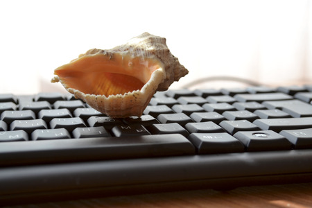 Keyboard with shell - abstract office background.の写真素材