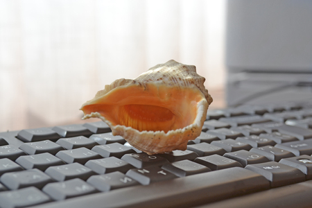 Keyboard with shell - abstract office background.