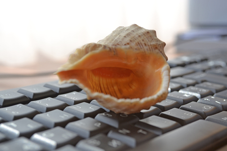 Keyboard with shell - abstract office background.の写真素材