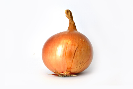 An onion on the white background.の写真素材