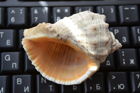 Keyboard and shell - abstract office background.