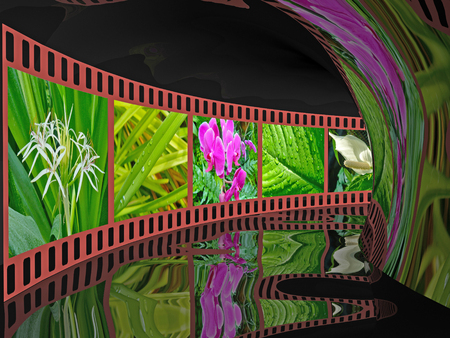 Nature shots on water background, 3D illustration.の写真素材