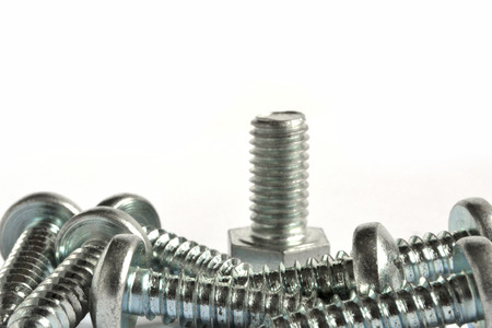 Set of screws and bolt on the white background.