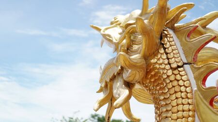 Golden Dragonの写真素材
