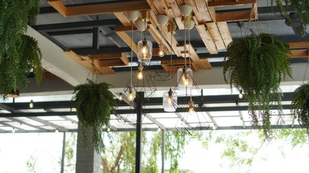 Ceiling designの写真素材