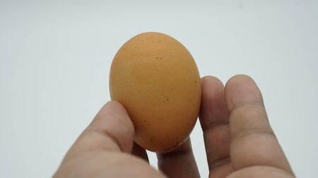 egg in hand on white blackgroundの写真素材