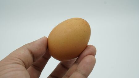 egg in hand on white blackgroundの写真素材