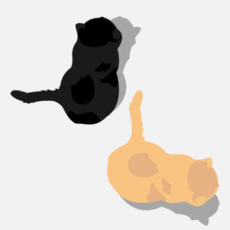 Black cat and red cat isolated.Top view.No background.Vector illustrationのイラスト素材