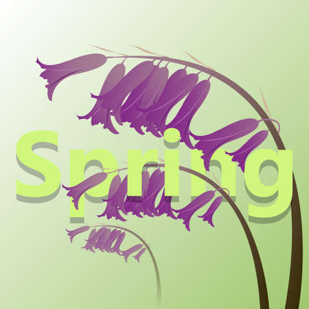 Spring green card with violet meadow flower Vector illustrationのイラスト素材